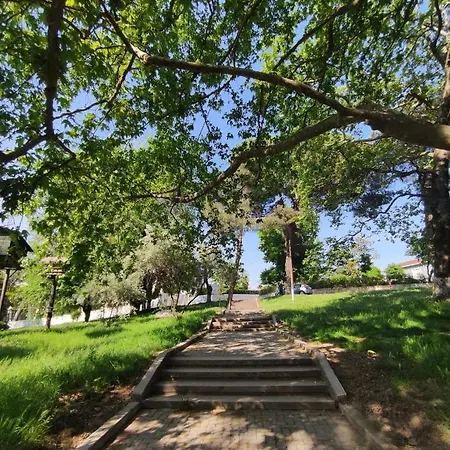 شقة Dardana&gerjon *