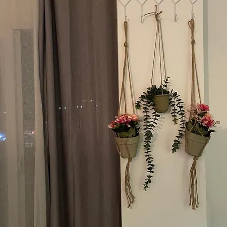 Dardana&gerjon Daire Kamez